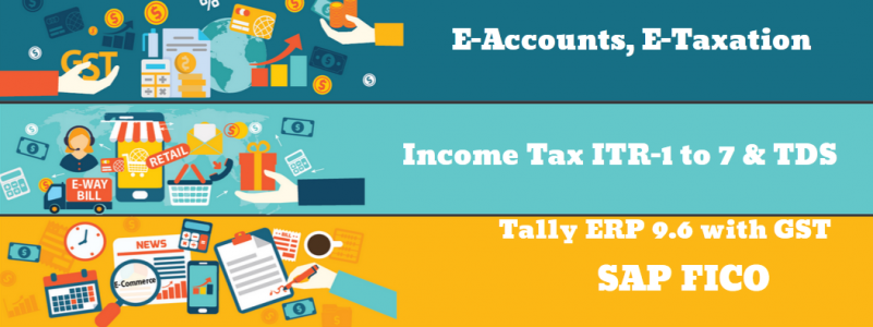 Online Accounting Course in Delhi, GST and Custom Taxation Course in Delhi, 100% Job Guarantee Course by