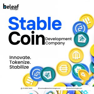 Start Your Stablecoin Project with Industry-Leading Developers!