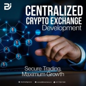 Best Custom Centralized Crypto Exchange Development - Block Intelligence